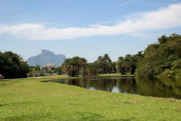 Pantanal Carioca